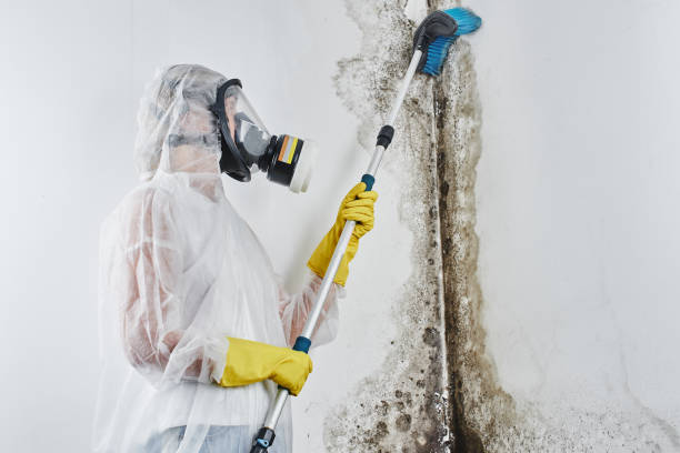 Best Water Damage Restoration  in Marietta, OH
