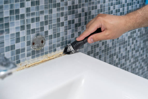 Best Toxic Mold Removal  in Marietta, OH