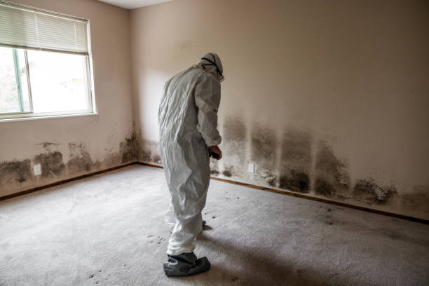 Best Crawl Space Mold Removal  in Marietta, OH