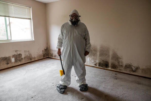 Best Residential Mold Removal  in Marietta, OH