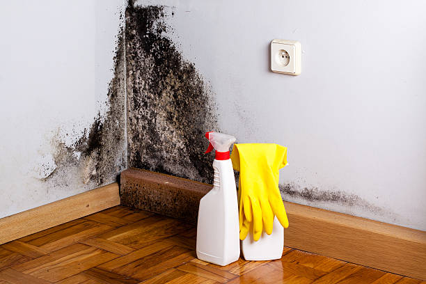 Best Crawl Space Mold Removal  in Marietta, OH